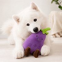 High Quality Cute Fruit and Vegetable Series Plush Toy