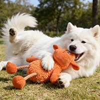 Bite Resistant Squeaky Plush Dog Toy Teething Chew Toy for Puppy Teddy Corgi Bichon Small Dogs Relieve Boredom