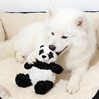 Fashion Modern Animal Panda Shaped Plush Pet Toy, Durable Sturdy Interactive Training Toy Relieve Boredom for Dogs & Cats