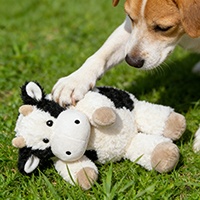 Hot Selling Cow Plush Squeaky Pet Toy, Sturdy Bite Resistant Dog Toy