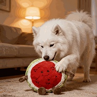 Cute Watermelon Shaped Dog Chew Toys, Bite Resistant Pet Toy, Factory Direct Supply Plush Pet Toys