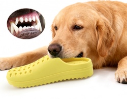 High Resilience Rubber Shoe Toy Puppy Teething Chew Toy Bite Resistant Dog Chew Toy
