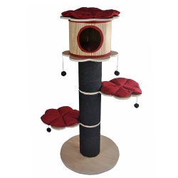 Spring cat castle tree