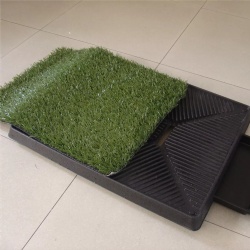 Amazon Hot selling Pet lawn toilet